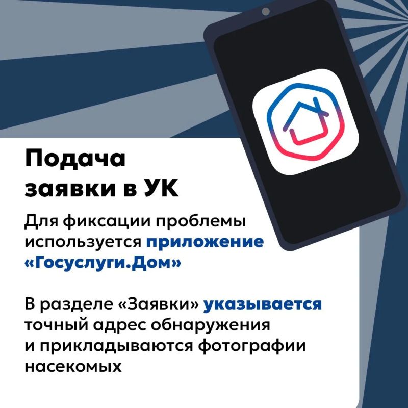 Насекомые в квартире — проблема, которую нужно решать быстро и по закону Насекомые в квартире — проблема, которую нужно решать быстро и по закону