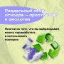 Как работает система раздельного сбора отходов?