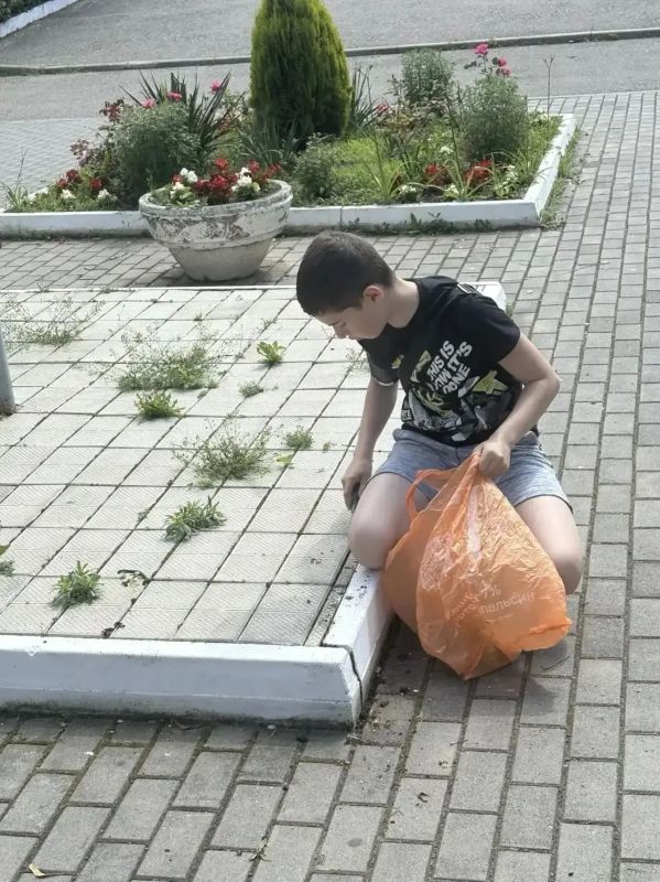 Евгений Моисеев: Более 350 школьников вместе занялись подготовкой школ к новому учебному году Евгений Моисеев: Более 350 школьников вместе занялись подготовкой школ к новому учебному году