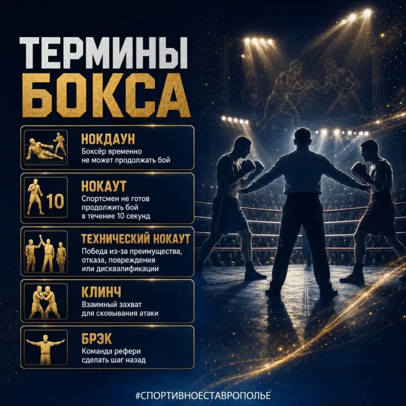 Нокдаун, нокаут, клинч, брэк, джеб, хук и апперкот — эти слова часто звучат в боксе, но не всегда понятны тем, кто только знакомится с этим видом спорта Нокдаун, нокаут, клинч, брэк, джеб, хук и апперкот — эти слова часто звучат в боксе, но не всегда понятны тем, кто только знакомится с этим видом спорта