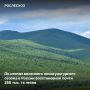 Мероприятия по лесовосстановлению и лесоразведению в России проведены на площади 254,8 тыс