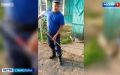 В дома жителей Ставрополья поползли змеи