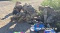 Появились кадры задержания иностранца, готовившего подрыв прокуратуры Пятигорска