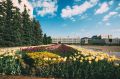 Ставропольцы жалуются на запах гари