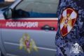В Шпаковском округе росгвардейцы задержали граждан, похитивших товар из торговой точки