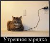 Наилегчайшая утренняя зарядка для самых ленивых