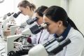Молодые ученые получают по миллиону рублей на доработку студенческих стартапов