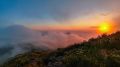 ������� ��� ������. ���� ���������