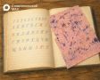 Что здесь изображено?. Фильтровальная бумага