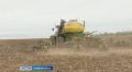 Осенняя посевная кампания стартовала на Ставрополье