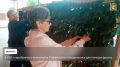 На Ставрополье активно развивается движение «Серебряное волонтерство»