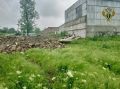 Прокуратура потребовала ликвидировать крупную свалку в Благодарном