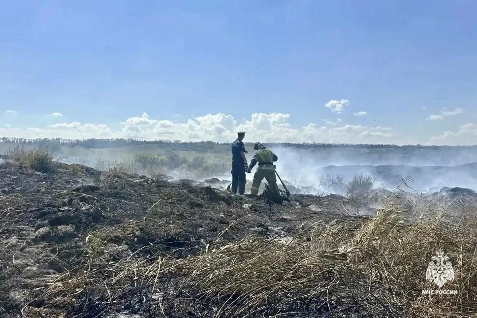 Жители Пятигорска несколько дней жалуются на запах гари – причиной назвали тление сухой травы и удобрений Жители Пятигорска несколько дней жалуются на запах гари – причиной назвали тление сухой травы и удобрений