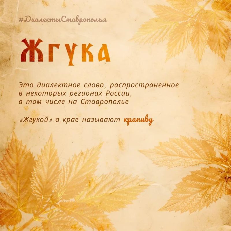 Мероприятия от движения «Здоровое Отечество» в Ессентуках, 5 сентября Мероприятия от движения «Здоровое Отечество» в Ессентуках, 5 сентября