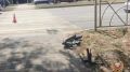 � ���������� ����������������� ����� ��� ������ ��������