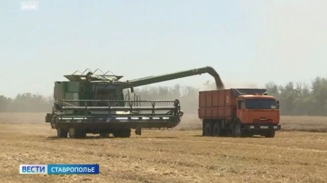 На Ставрополье прорабатывают вопрос зерновой интервенции