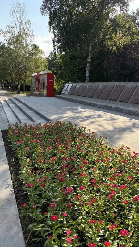 Более 7 тысяч цветов высадили на клумбах Ставрополя ко Дню города Более 7 тысяч цветов высадили на клумбах Ставрополя ко Дню города
