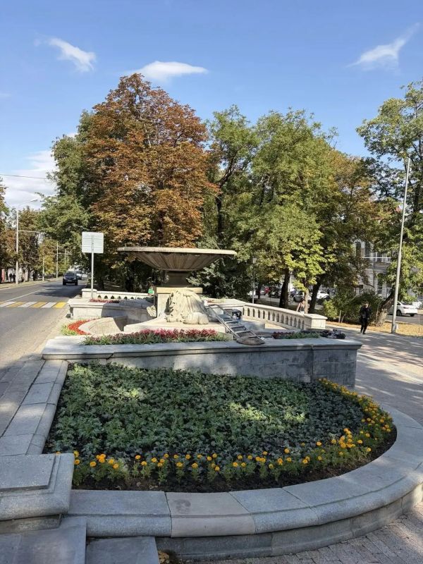 Более 7 тысяч цветов высадили на клумбах Ставрополя ко Дню города Более 7 тысяч цветов высадили на клумбах Ставрополя ко Дню города