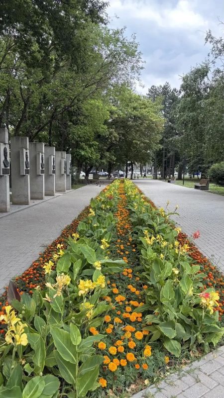 Более 7 тысяч цветов высадили на клумбах Ставрополя ко Дню города Более 7 тысяч цветов высадили на клумбах Ставрополя ко Дню города