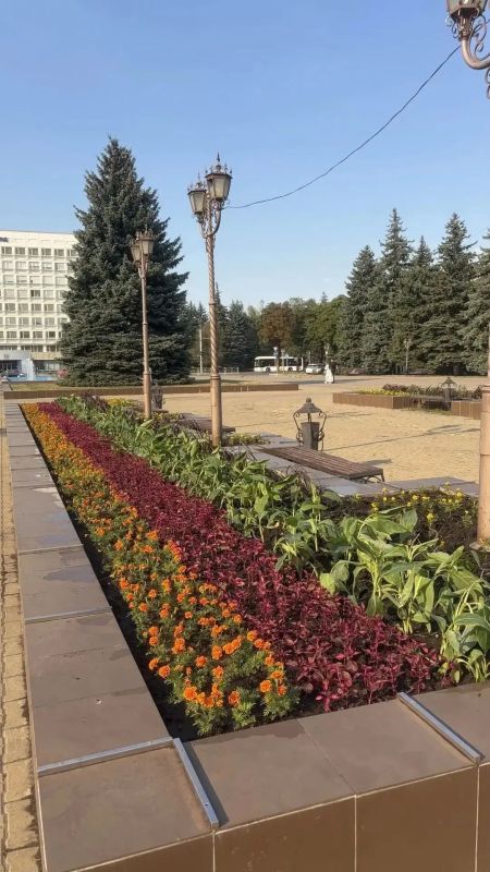 Более 7 тысяч цветов высадили на клумбах Ставрополя ко Дню города Более 7 тысяч цветов высадили на клумбах Ставрополя ко Дню города