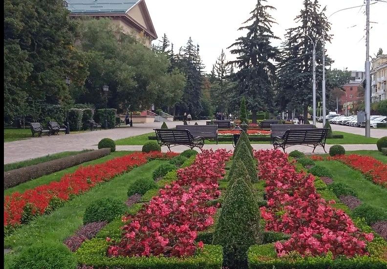 Ко Дню города в Ставрополе высадили более 7 тысяч осенних цветов