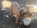 � ������������ ������ ����������� ������� ������� ���������� ����� ���