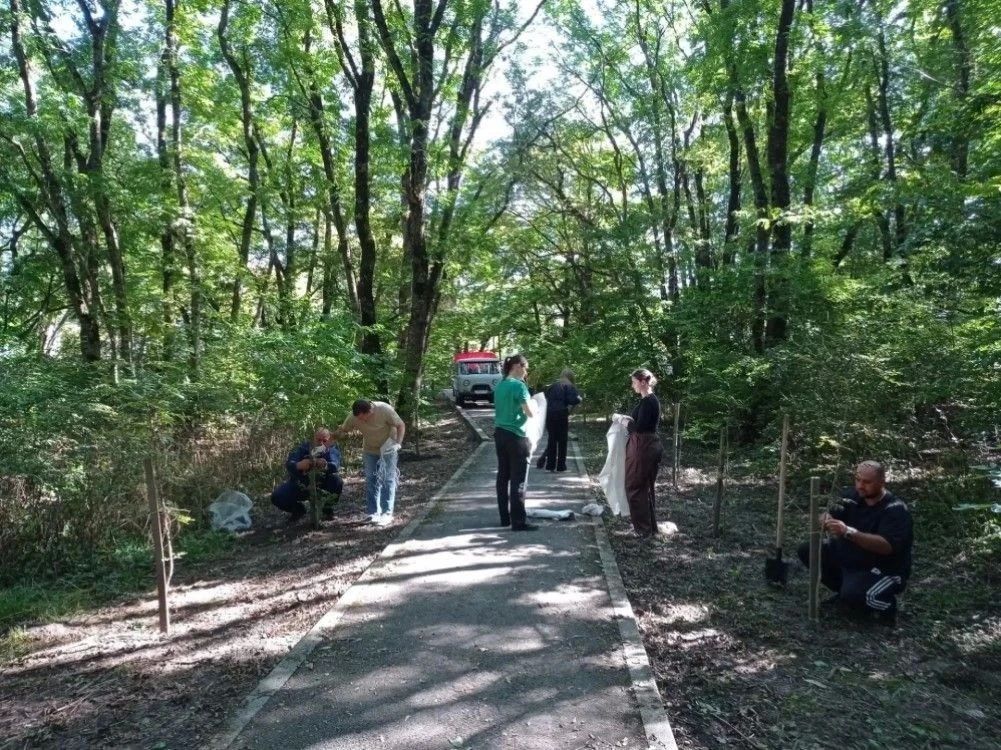 В краевой столице в Русский лес на субботник вышли представители администрации Промышленного района, городского лесничества, Ставропольского лесхоза и Ставропольского лесничества В краевой столице в Русский лес на субботник вышли представители администрации Промышленного района, городского лесничества, Ставропольского лесхоза и Ставропольского лесничества