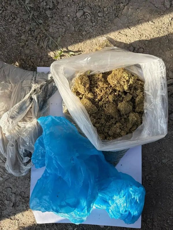 Нервничал на посту ДПС: у водителя в Кировском округе нашли более 140 граммов наркотиков Нервничал на посту ДПС: у водителя в Кировском округе нашли более 140 граммов наркотиков