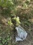 В краевой столице в Русский лес на субботник вышли представители администрации Промышленного района, городского лесничества, Ставропольского лесхоза и Ставропольского лесничества