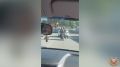 ���������������� ������� ��������� ������� ������� � ������ � ������������ � ������������