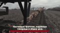 Служба по контракту — стабильное будущее и социальные гарантии