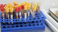 ��������� ��������� ����� ��� ������� �� ���������� ��� ���������� � ���������