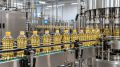 Экспорт подсолнечного масла на Ставрополье вырос на 82%