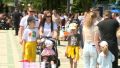 Свыше 6 тысяч семей Ставрополья выбрали ежемесячные выплаты из маткапитала