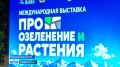 ��� ������� ������ �� �������� �������� � ������� ������������, ������ � ����������