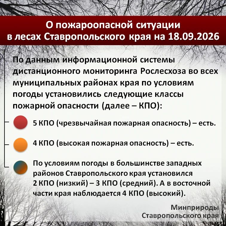 По данным информационной системы дистанционного мониторинга Рослесхоза по состоянию на 18.09.2026 в большинстве западных районов края установился 2 КПО (низкий) – 3 КПО (средний)