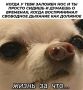 Заложенный нос - частый атрибут осени