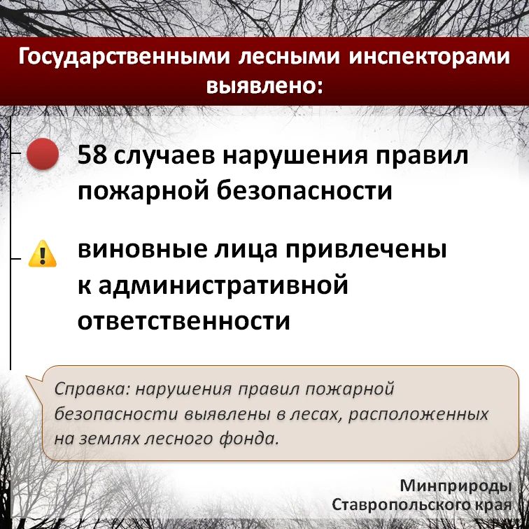 По данным информационной системы дистанционного мониторинга Рослесхоза по состоянию на 18.09.2026 в большинстве западных районов края установился 2 КПО (низкий) – 3 КПО (средний) По данным информационной системы дистанционного мониторинга Рослесхоза по состоянию на 18.09.2026 в большинстве западных районов края установился 2 КПО (низкий) – 3 КПО (средний)