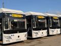 20 новых больших автобусов вышли на улицы Ставрополя