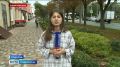 Выбор сделан. Как прошло трёхдневное голосование на Ставрополье