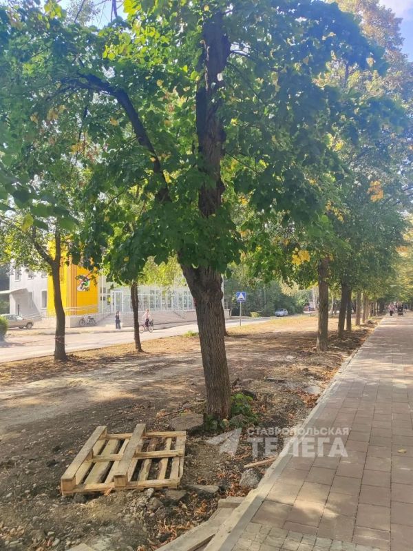 В Невинномысске благоустраивают сквер Химиков В Невинномысске благоустраивают сквер Химиков