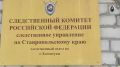 Зоозащитница отправила порноролик ребёнку, которого покусала собака в Ессентуках