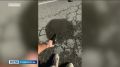 � ���������� �������� ����� ����� ����� ����� ������ � ����������