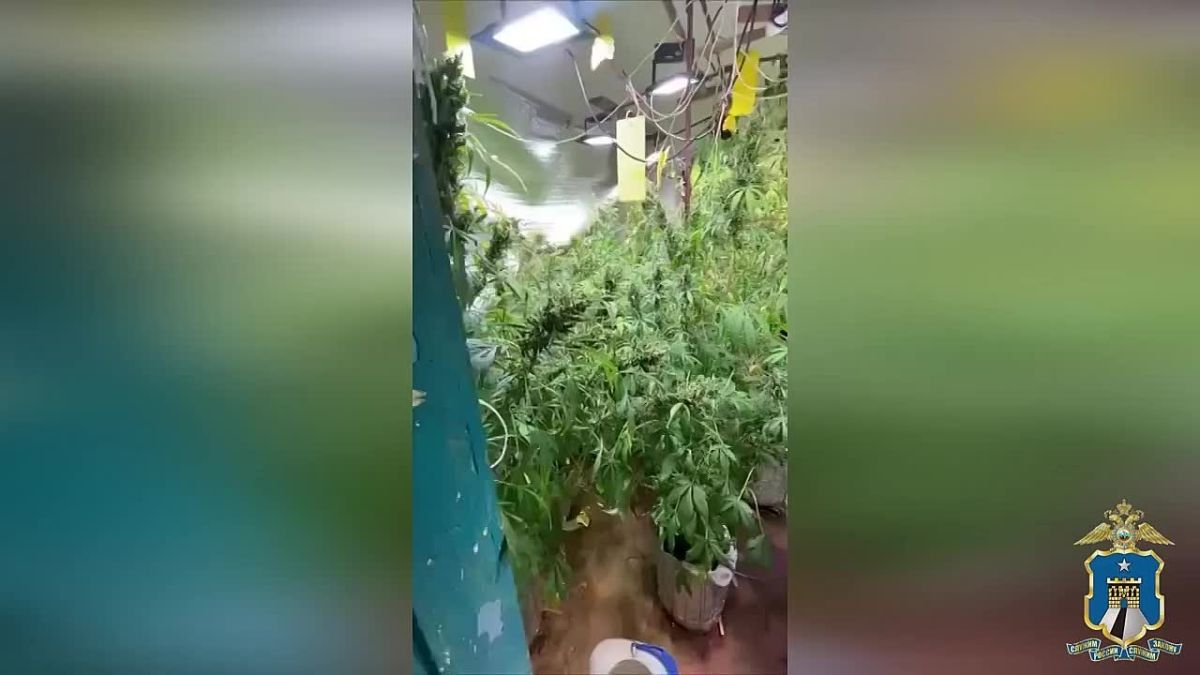 Наркоферму обустроил у себя в доме житель Невинномысска — уголовное дело направлено в суд