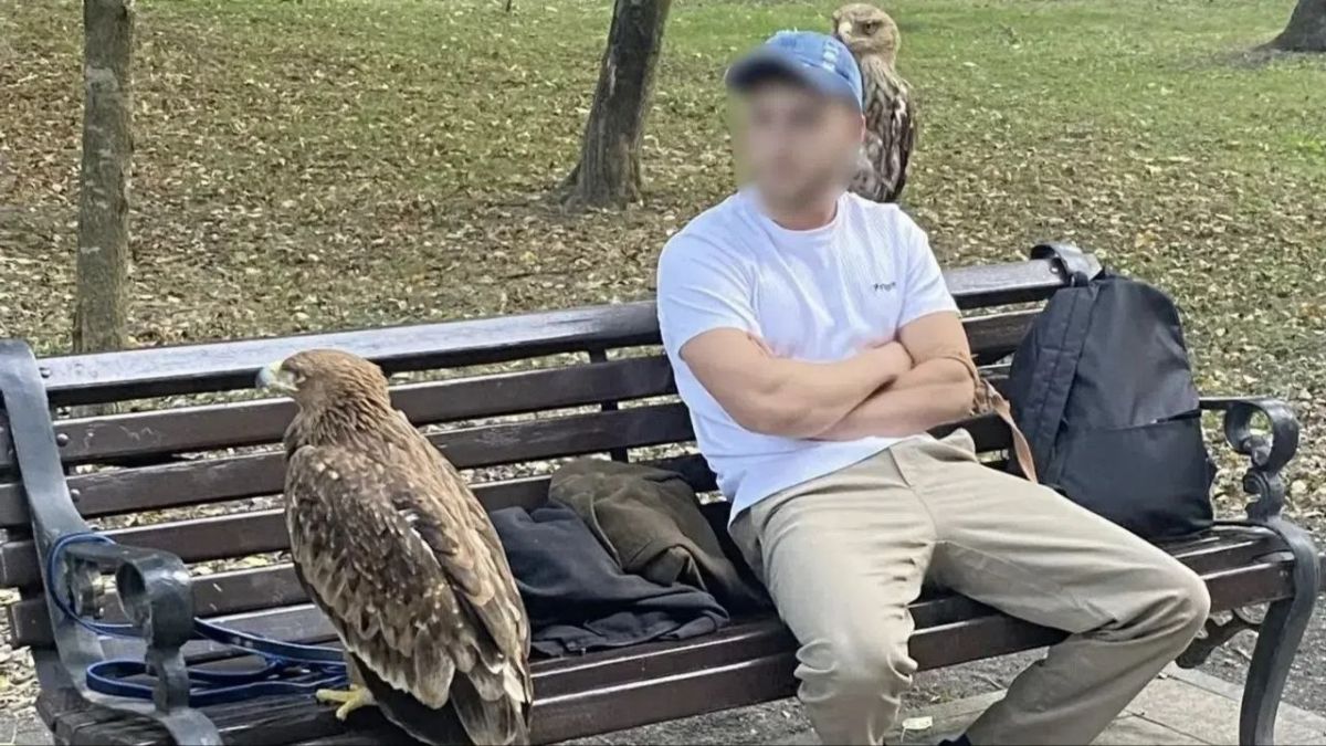 Орлов спасли из лап уличных фотографов в Ессентуках