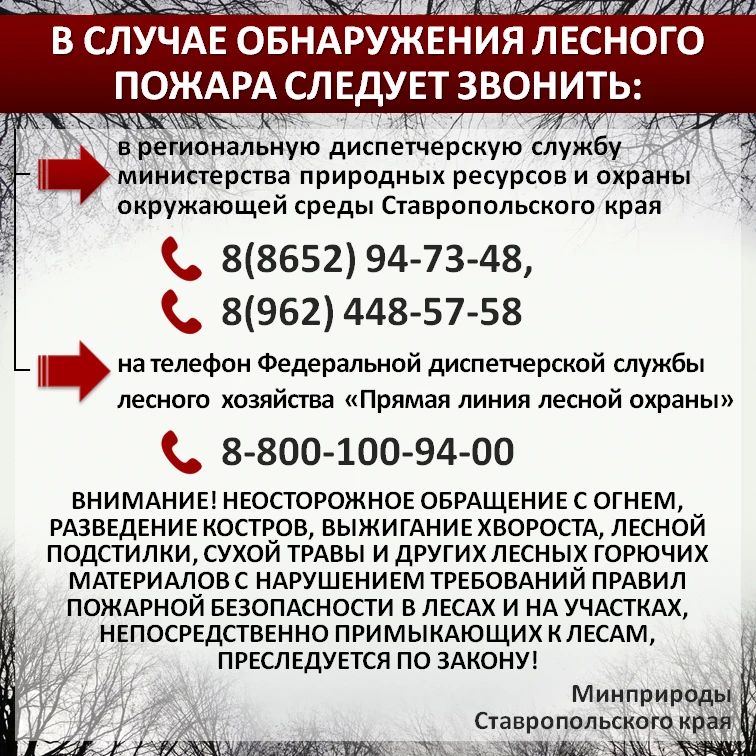 По данным информационной системы дистанционного мониторинга Рослесхоза по состоянию на 25.09.2026 на большей части Ставропольского края установился 1 КПО (очень низкий) По данным информационной системы дистанционного мониторинга Рослесхоза по состоянию на 25.09.2026 на большей части Ставропольского края установился 1 КПО (очень низкий)