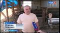 На Ставрополье ветераны СВО становятся предпринимателями