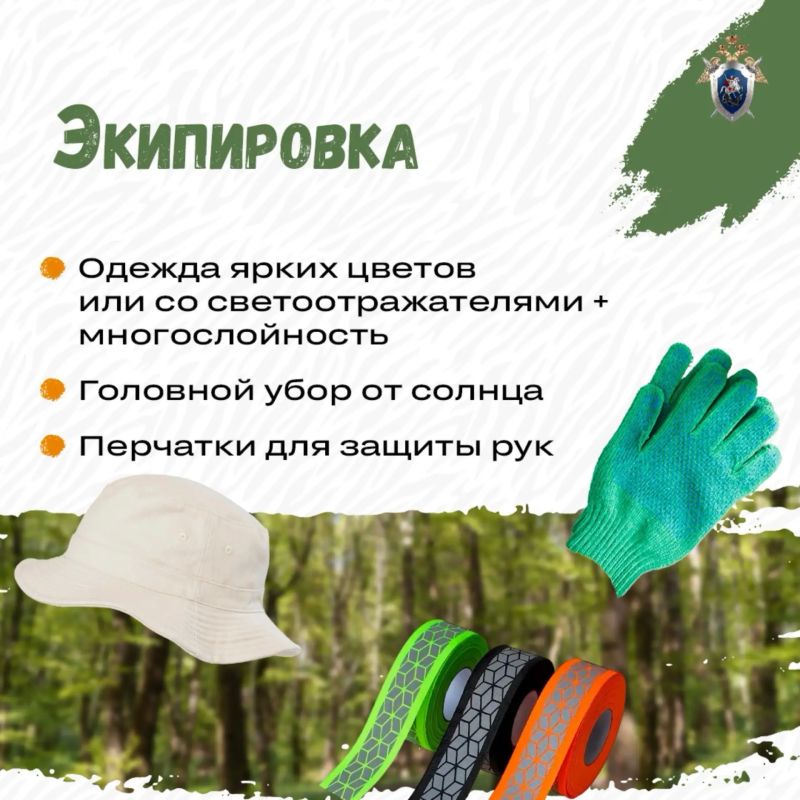 Правила предосторожности при походах за грибами в осенний период Правила предосторожности при походах за грибами в осенний период