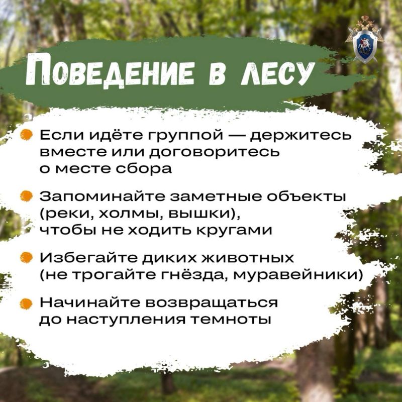 Правила предосторожности при походах за грибами в осенний период Правила предосторожности при походах за грибами в осенний период