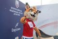Всероссийская федерация легкой атлетики запустила в Ставрополе круглогодичный бесплатный беговой центр для любителей спорта и всех, кто ведет активный образ жизни